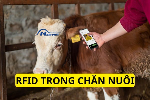 RFID trong chăn nuôi