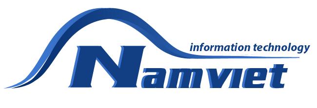 Nam Viet IT Services