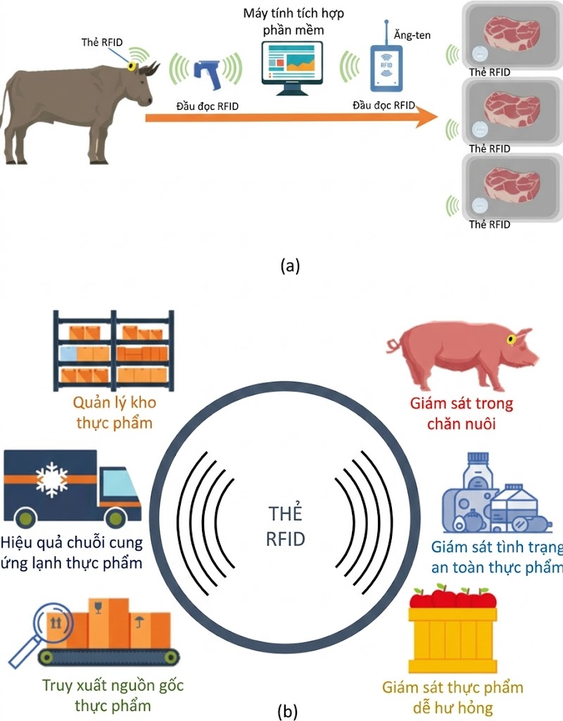 RFID quản lý vòng đời sản phẩm, đảm bảo tính chính xác gần như tuyệt đối RFID quản lý vòng đời sản phẩm, đảm bảo tính chính xác gần như tuyệt đối